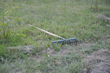 Köydeki çimde tırmık var.