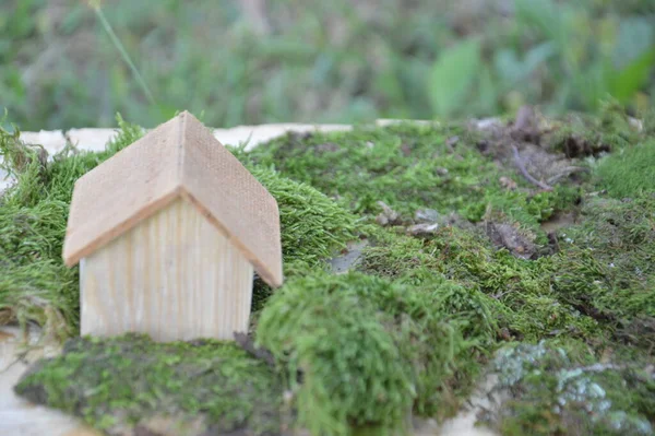 木造住宅の模型 一戸建て — ストック写真