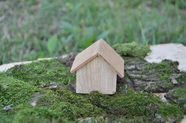 Modelo Una Casa Madera Como Propiedad Familiar — Foto de Stock