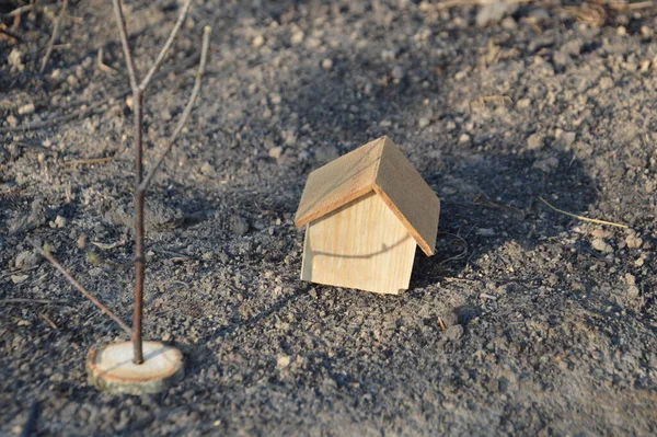 Modelo Uma Casa Madeira Como Uma Propriedade Família — Fotografia de Stock