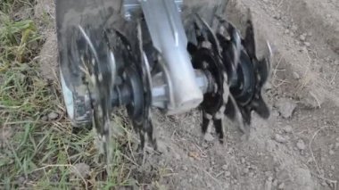 Toprak sürme ve tohum ekmek için ekici.