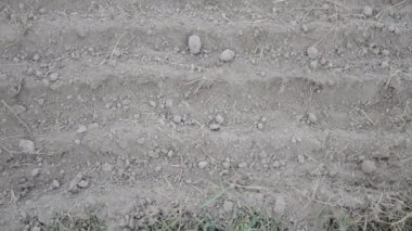 Bahçeye ek ekinler için ekilebilir arazi.