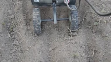 Toprak sürme ve tohum ekmek için ekici.