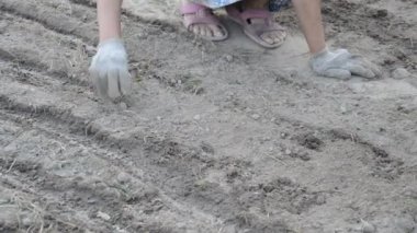 Kadın bahçede çiçek yetiştiriyor.