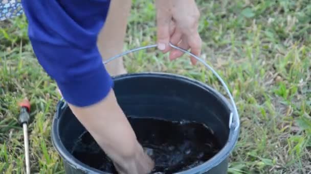 Kerti Műtrágyák Tenyésztése Fák Zöldségek Védelme Termesztése Érdekében — Stock videók