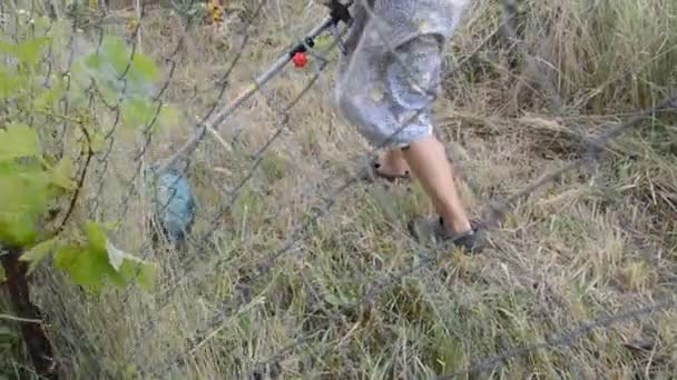 Vrouw Maait Gras Met Handtrimmer — Stockvideo