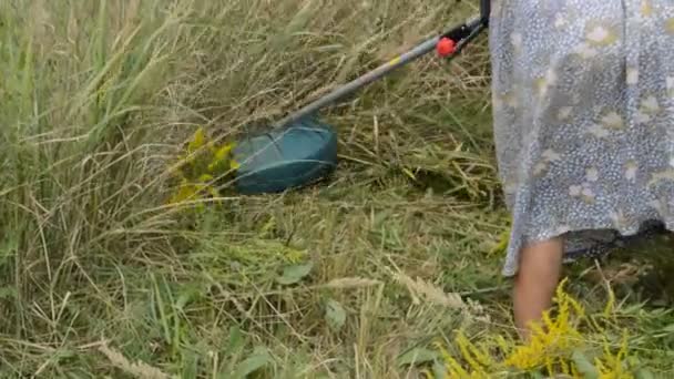 Frau Mäht Gras Mit Handtrimmer — Stockvideo