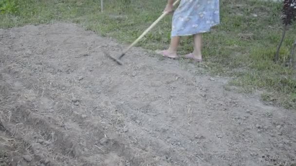 女は草を裂いて地面を平らにする — ストック動画