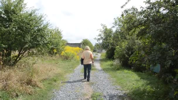 Woman Walks Away Road Ahead — Stock Video