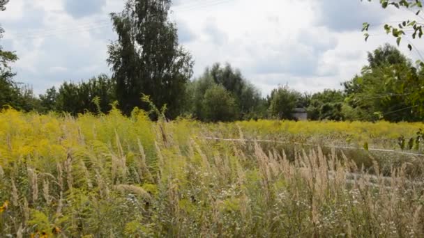 Het Eten Van Een Kleine Trekker Weg Het Dorp — Stockvideo