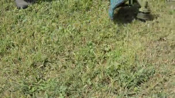 Woman Mows Grass Hand Trimmer — Stock Video