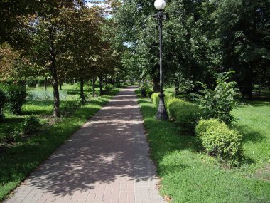 Baharda parktaki yeşil cadde