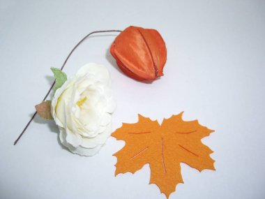 Işıklı arka planda renkli çiçeklerle dolu bir hayat