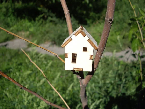 Casa Legno Ramo Albero — Foto Stock