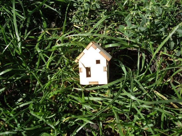 Drewniany Dom Leży Zielonej Trawie — Zdjęcie stockowe