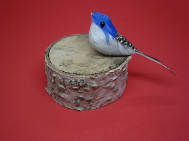 Cadılar bayramından önce bitkilerin ve hayvanların sakin sonbaharı