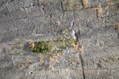 Yunanistan 'da Rodos' ta Eski Şehrin Mimarisi