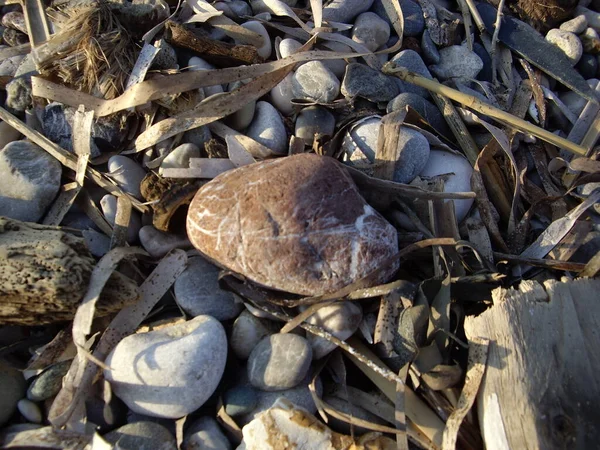 Камені Галька Егейського Моря Острові Родос Греції — стокове фото