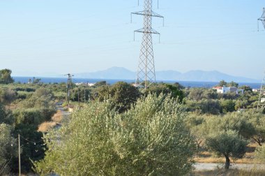 Polonyalılar ve yüksek gerilim kabloları elektrik hatları.
