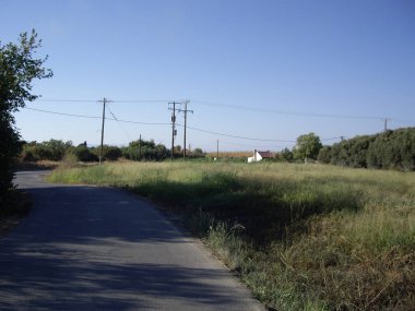 Polonyalılar ve yüksek gerilim kabloları elektrik hatları.