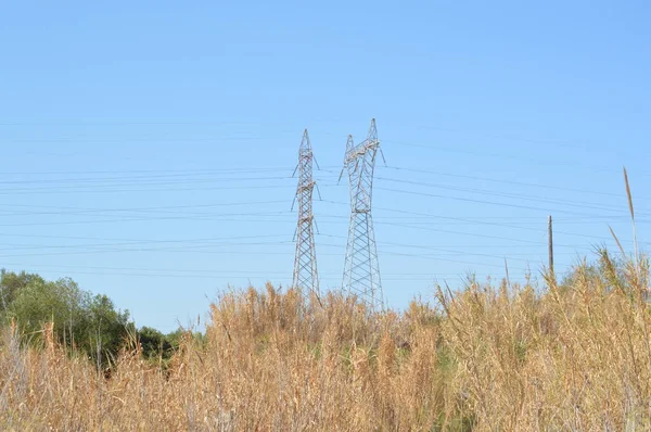 Postes Alambres Alto Voltaje Las Líneas Eléctricas —  Fotos de Stock