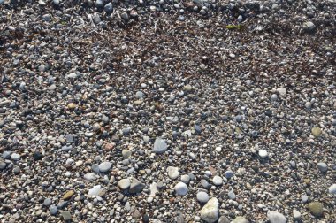 Yunanistan 'ın Ege kıyısındaki çakıl taşı dokusu