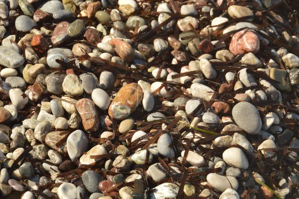 Pebble Textur Egeiska Kusten Grekland — Stockfoto