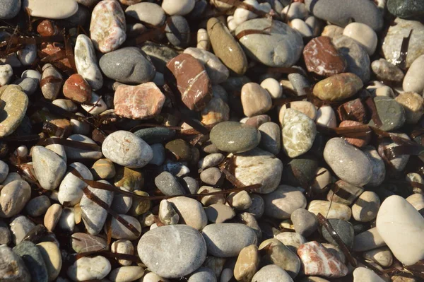 ギリシャのエーゲ海沿岸の小石質 — ストック写真