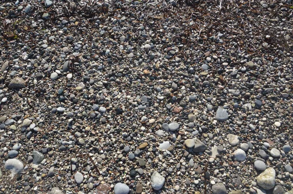 Pebble Textur Egeiska Kusten Grekland — Stockfoto