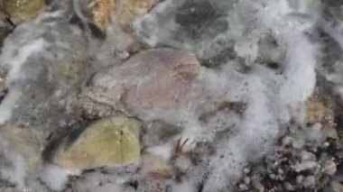 Ege kıyısında çakıl taşı dokusu