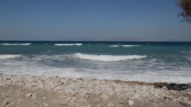 Yunanistan 'ın Rodos adasında Ege kıyısında ağaçlar yetişiyor
