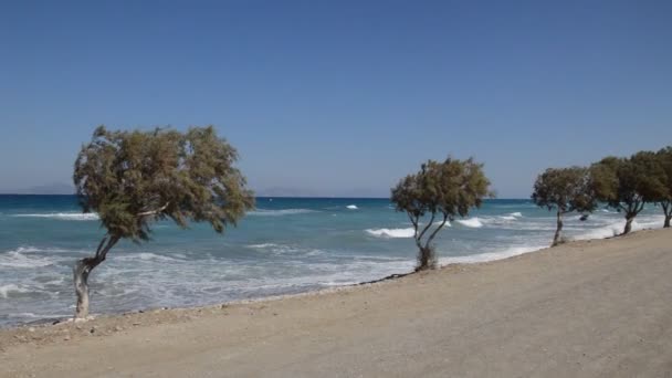 Bomen Groeien Langs Egeïsche Kust Het Eiland Rhodos Griekenland — Stockvideo