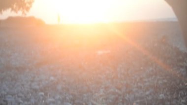 Yunanistan 'da Rodos' ta Agean Denizi kıyısında gün batımı