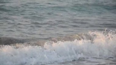 Yunanistan 'ın Rodos adasında Ege Denizi' nde sörf