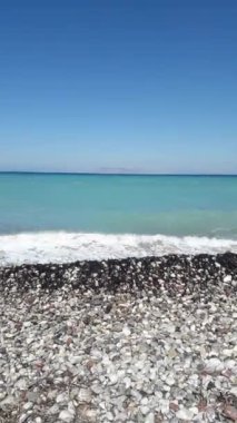 Yunanistan 'ın Rodos adasında palmiye ağacı yetişiyor