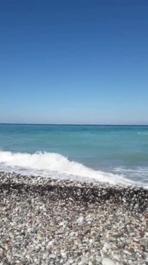 Yunanistan 'ın Rodos adasında palmiye ağacı yetişiyor