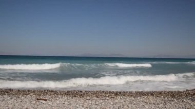 Yunanistan 'ın Rodos adasında palmiye ağacı yetişiyor