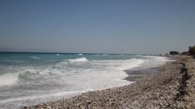 Yunanistan 'ın Rodos adasında palmiye ağacı yetişiyor