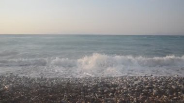 Yunanistan 'ın Rodos adasında palmiye ağacı yetişiyor