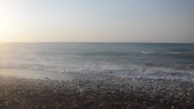 Yunanistan 'ın Rodos adasında palmiye ağacı yetişiyor