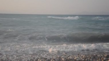 Yunanistan 'ın Rodos adasında palmiye ağacı yetişiyor