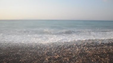 Yunanistan 'ın Rodos adasında palmiye ağacı yetişiyor