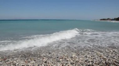 Yunanistan 'ın Rodos adasında palmiye ağacı yetişiyor
