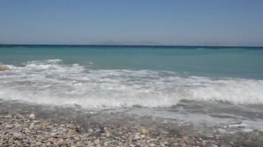 Yunanistan 'ın Rodos adasında palmiye ağacı yetişiyor
