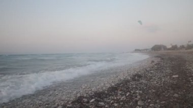 Yunanistan 'ın Rodos adasında palmiye ağacı yetişiyor