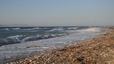 Yunanistan 'ın Rodos adasında palmiye ağacı yetişiyor