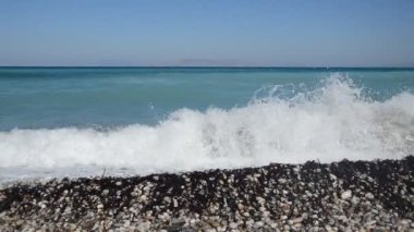 Yunanistan 'ın Rodos adasında palmiye ağacı yetişiyor