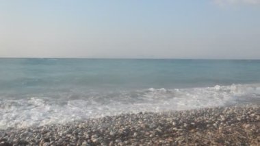 Yunanistan 'ın Rodos adasında palmiye ağacı yetişiyor