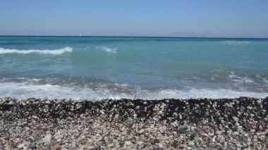 Yunanistan 'ın Rodos adasında palmiye ağacı yetişiyor