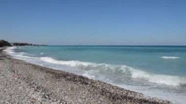Yunanistan 'ın Rodos adasında palmiye ağacı yetişiyor